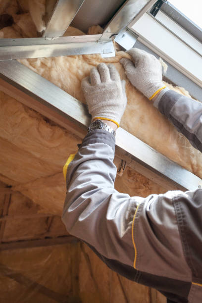 Best Spray Foam Insulation  in Sulphur, OK
