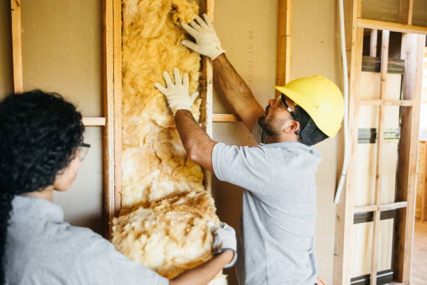 Insulation Repair Services in Sulphur, OK